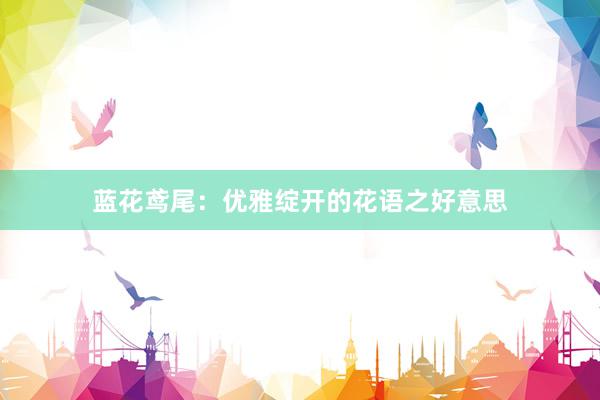 蓝花鸢尾：优雅绽开的花语之好意思